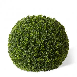 Topiary Boxwood Ball (Outdoor) - 51 x 51 x 51cm by null, a Plants for sale on Style Sourcebook