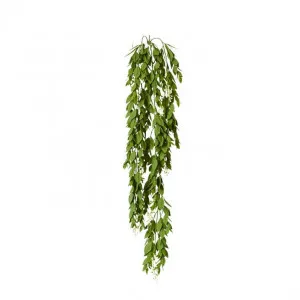 Trailing Hanging Plant - 18 x 10 x 66cm by null, a Plants for sale on Style Sourcebook