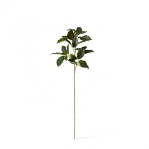 Viburnum Spray - 17 x 20 x 66cm by null, a Plants for sale on Style Sourcebook