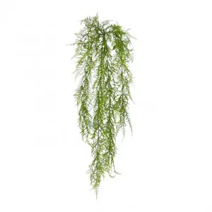 Airfern Hanging Plant (Outdoor) - 25 x 20 x 84cm by null, a Plants for sale on Style Sourcebook
