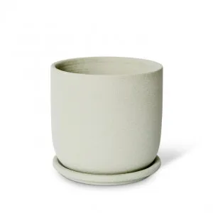Allegra Pot w. Saucer - 15 x 15 x 15cm by null, a Plant Holders for sale on Style Sourcebook