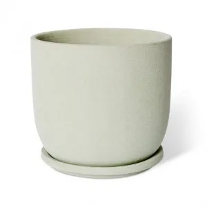 Allegra Pot w. Saucer - 19 x 19 x 18cm by null, a Plant Holders for sale on Style Sourcebook