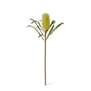 Banksia Stem - 20 x 8 x 65cm by null, a Plants for sale on Style Sourcebook