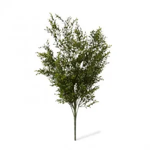 Boxwood Bush - 59 x 53 x 78cm by null, a Plants for sale on Style Sourcebook
