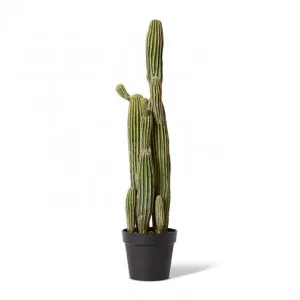 Cactus Saguaro Potted - 25 x 20 x 91cm by null, a Plants for sale on Style Sourcebook