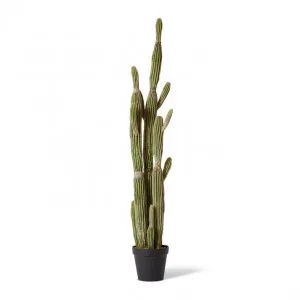 Cactus Saguaro Potted - 30 x 30 x 152cm by null, a Plants for sale on Style Sourcebook