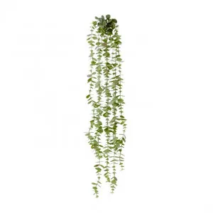 Coin Leaf Hanging Bush - 16 x 10 x 81cm by null, a Plants for sale on Style Sourcebook