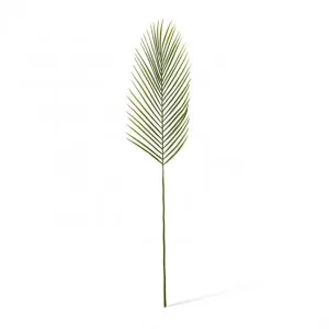 Cycad Leaf Stem - 23 x 1 x 88cm by null, a Plants for sale on Style Sourcebook