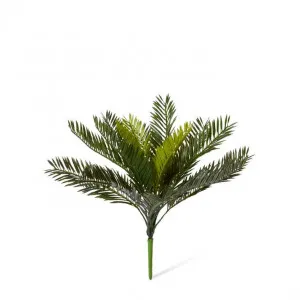 Cycas Bush - 38 x 38 x 36cm by null, a Plants for sale on Style Sourcebook