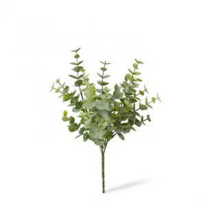 Eucalyptus Bush - 15 x 15 x 24cm by null, a Plants for sale on Style Sourcebook