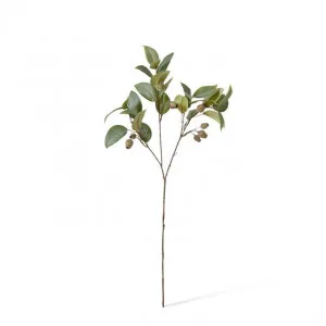 Eucalyptus Gum Nut Spray - 20 x 6 x 84cm by null, a Plants for sale on Style Sourcebook