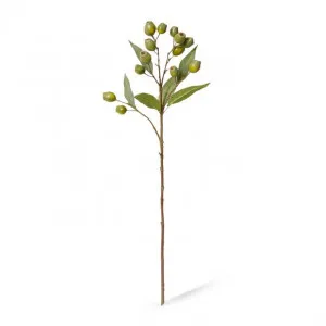 Eucalyptus Gum Nut Spray - 24 x 20 x 67cm by null, a Plants for sale on Style Sourcebook