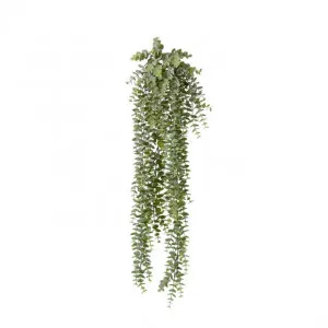 Eucalyptus Hanging Plant - 15 x 15 x 80cm by null, a Plants for sale on Style Sourcebook