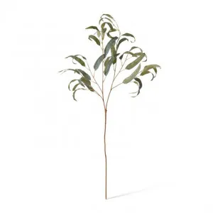 Eucalyptus Leaf Spray - 30 x 30 x 90cm by null, a Plants for sale on Style Sourcebook