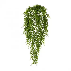 Fern Hanging Plant - 20 x 20 x 81cm by null, a Plants for sale on Style Sourcebook