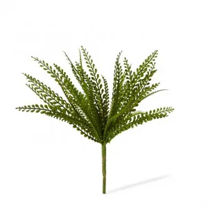Fern Lemon Button - 38 x 38 x 33cm by null, a Plants for sale on Style Sourcebook