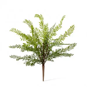 Fern Mother (Outdoor) - 36 x 36 x 43cm by null, a Plants for sale on Style Sourcebook