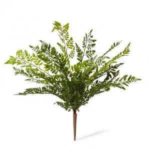 Fern Tassel (Outdoor) - 36 x 36 x 46cm by null, a Plants for sale on Style Sourcebook
