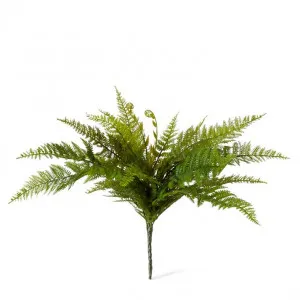 Fern Tassel - 65 x 65 x 45cm by null, a Plants for sale on Style Sourcebook