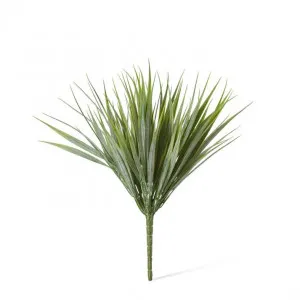 Grass Spring Bush - 25 x 25 x 33cm by null, a Plants for sale on Style Sourcebook