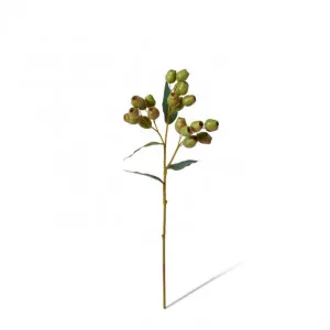 Gum Nut Spray - 20 x 10 x 48cm by null, a Plants for sale on Style Sourcebook