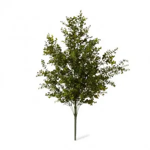 Hedge Bush - 59 x 53 x 78cm by null, a Plants for sale on Style Sourcebook