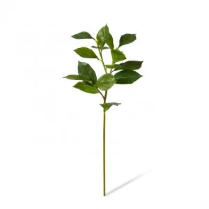 Hydrangea Leaf Spray - 30 x 30 x 81cm by null, a Plants for sale on Style Sourcebook
