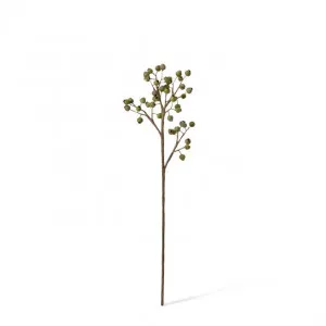 Gum Nut Pick - 13 x 6 x 47cm by null, a Plants for sale on Style Sourcebook