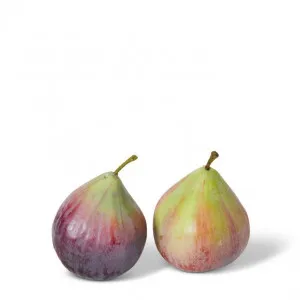 Fig - 6 x 6 x 7cm by null, a Plants for sale on Style Sourcebook