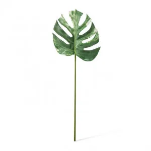 Monstera Lush Stem - 28 x 2 x 75cm by null, a Plants for sale on Style Sourcebook