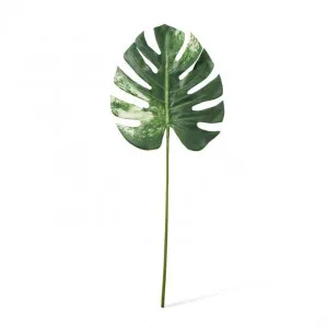 Monstera Lush Stem - 33 x 2 x 78cm by null, a Plants for sale on Style Sourcebook