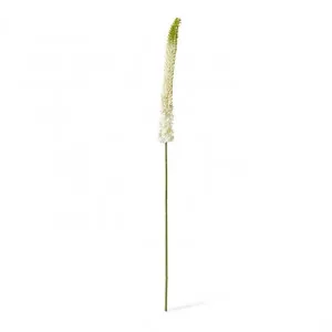 Foxtail Lily Stem - 6 x 3 x 112cm by null, a Plants for sale on Style Sourcebook