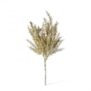 Astilbe Bush - 23 x 14 x 39cm by null, a Plants for sale on Style Sourcebook
