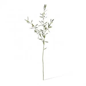Olive Grand Branch - 40 x 29 x 129cm by null, a Plants for sale on Style Sourcebook