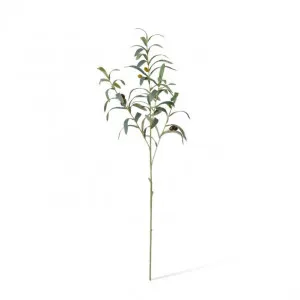 Olive Spray - 20 x 14 x 81cm by null, a Plants for sale on Style Sourcebook