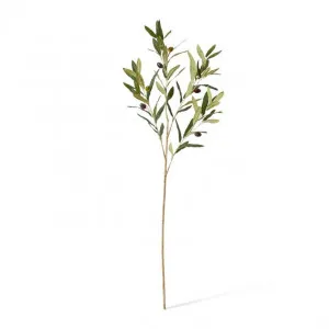 Olive Spray - 28 x 28 x 97cm by null, a Plants for sale on Style Sourcebook
