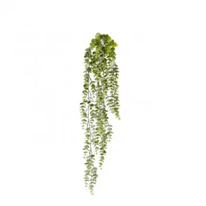 Silver Leaf Hanging Plant (Grey/Green ) - 15 x 10 x 77cm by null, a Plants for sale on Style Sourcebook