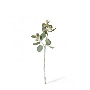 Tetragona Gum Nut Spray - 9 x 6 x 41cm by null, a Plants for sale on Style Sourcebook