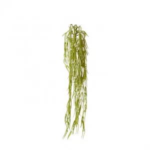 Wax  Vine Hanging Plant - 20 x 7 x 53cm by null, a Plants for sale on Style Sourcebook