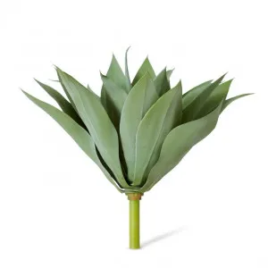 Agave - 45 x 45 x 41cm by null, a Plants for sale on Style Sourcebook
