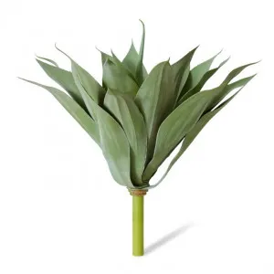 Agave - 55 x 55 x 52cm by null, a Plants for sale on Style Sourcebook