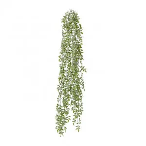 Angel Leaf Hanging Plant - 20 x 20 x 114 cm by null, a Plants for sale on Style Sourcebook