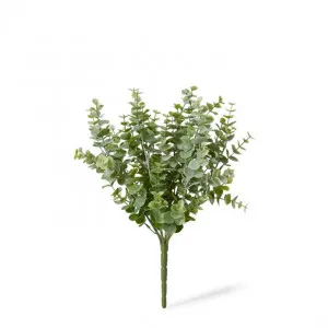 Eucalyptus Bush - 26 x 26 x 36cm by null, a Plants for sale on Style Sourcebook