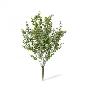 Eucalyptus Bush - 30 x 30 x 50cm by null, a Plants for sale on Style Sourcebook
