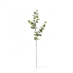 Eucalyptus Dollar Spray - 21 x 8 x 94cm by null, a Plants for sale on Style Sourcebook