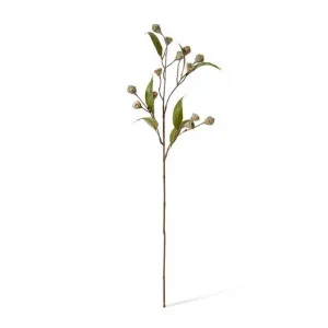 Eucalyptus Gum Nut Stem - 20 x 5 x 72cm by null, a Plants for sale on Style Sourcebook