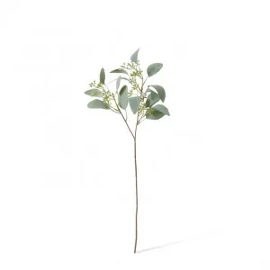 Eucalyptus Seeding Spray - 21 x 21 x 48cm by null, a Plants for sale on Style Sourcebook