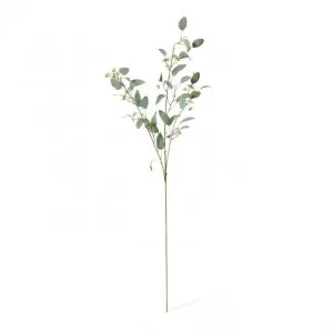 Eucalyptus Seed Spray - 15 x 10 x 75cm by null, a Plants for sale on Style Sourcebook