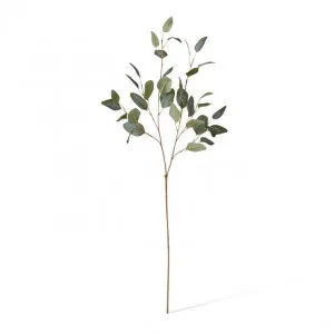 Eucalyptus Spray - 30 x 15 x 90cm by null, a Plants for sale on Style Sourcebook