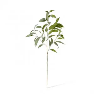 Eucalyptus Spray - 50 x 40 x 94cm by null, a Plants for sale on Style Sourcebook